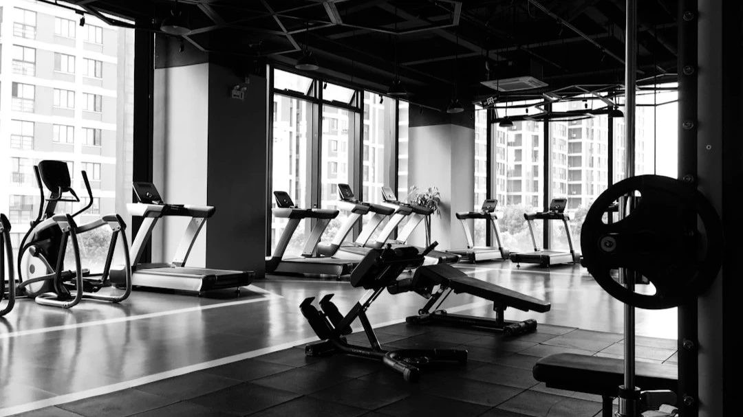 Plan de nutrición y entrenamiento